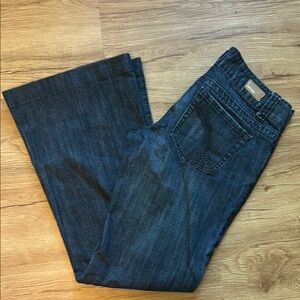 Vintage Refuge Size 5/27 Flare Jeans